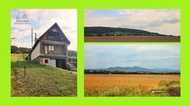 Vinice na predaj (5).jpg