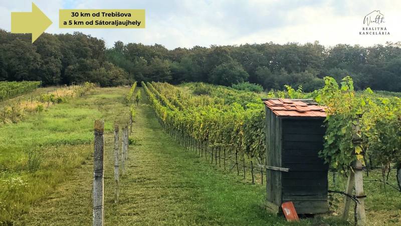 Vinice na predaj.jpg