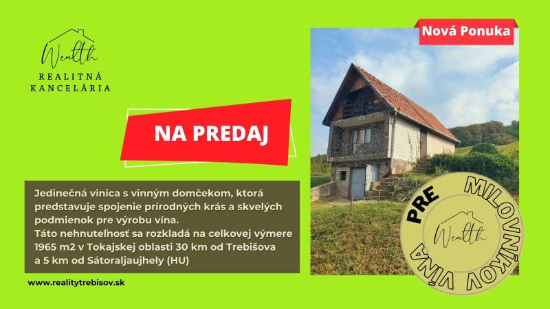 Vinice na predaj (7).jpg