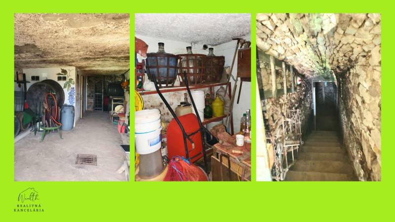 Vinice na predaj (4).jpg