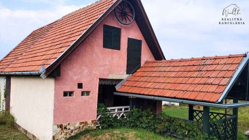 Vinice na predaj (1).jpg