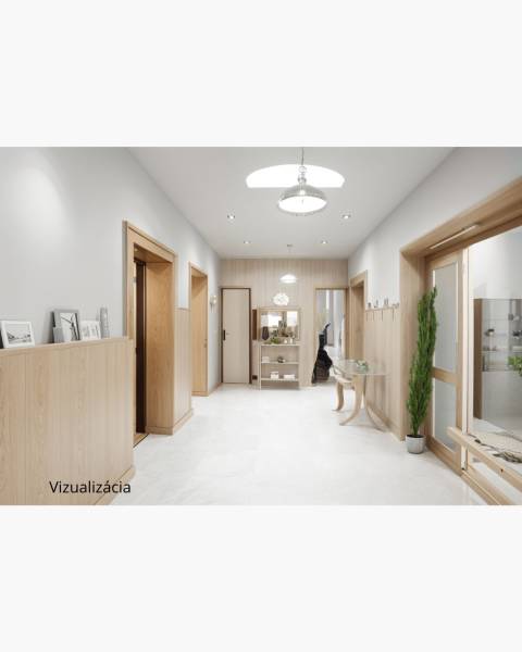 obytná hala – hlavný komunikačný priestor, vizuál 1.jpg